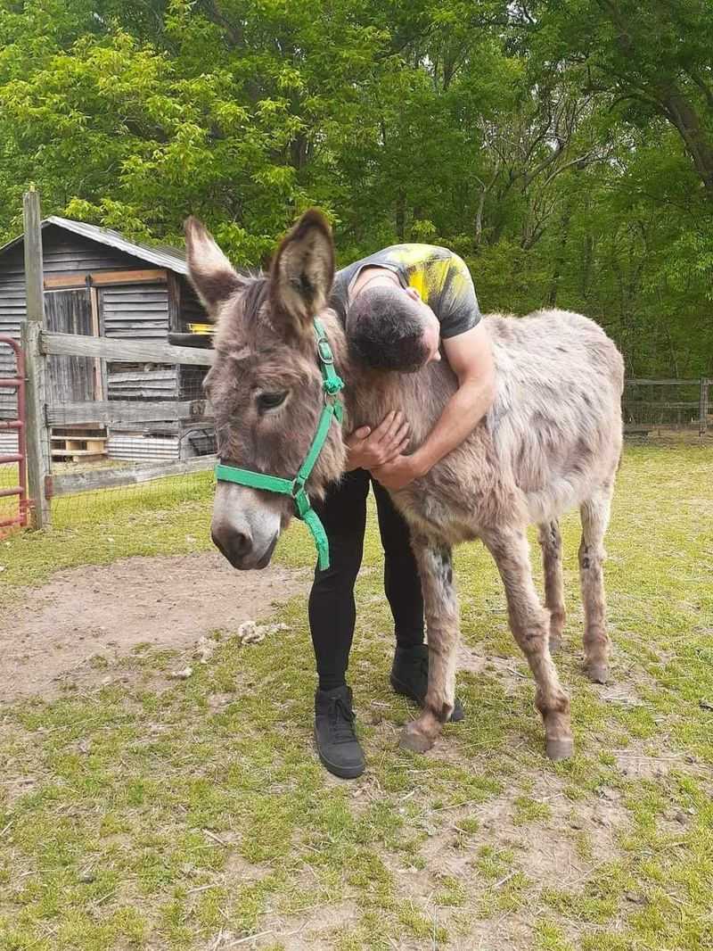 Feed Buckets and Farm Therapy