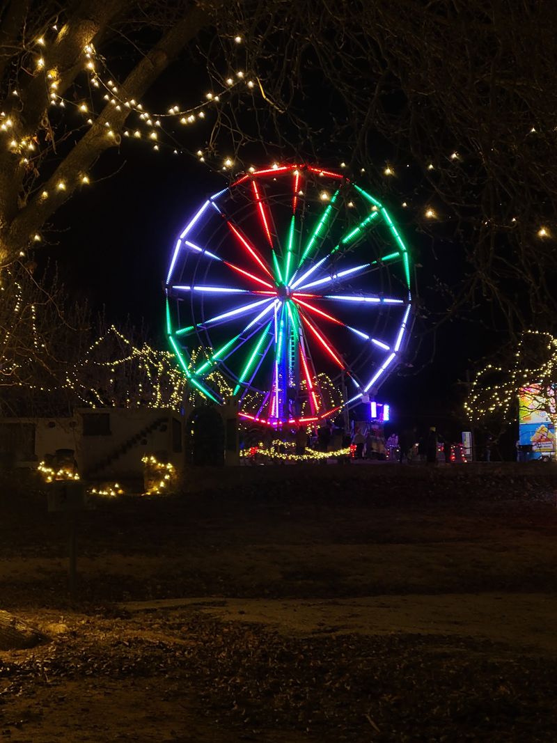 Ferris Wheel, Carousel, and Carnival Fun