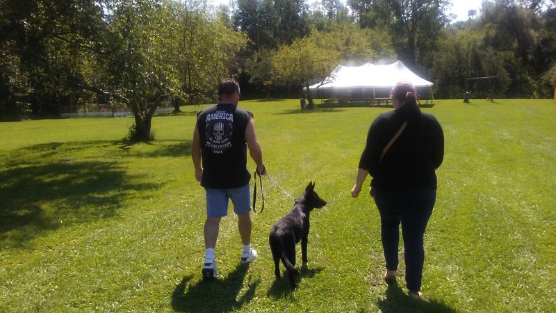 Field Trips, Furry Friends, and My Best Planning Tips Field Trips, Furry Friends, and My Best Planning Tips