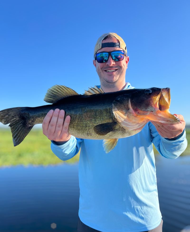 Fifteen-Pound Bass and the Anglers Who Chase Them Fifteen-Pound Bass and the Anglers Who Chase Them