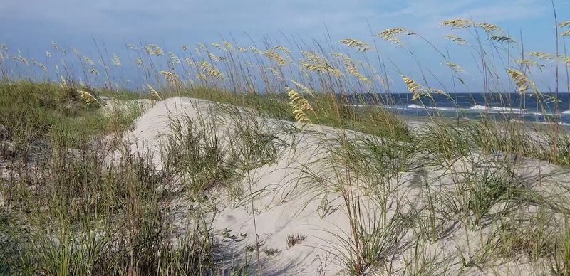 Final Thoughts on a Quiet Coastal Treasure