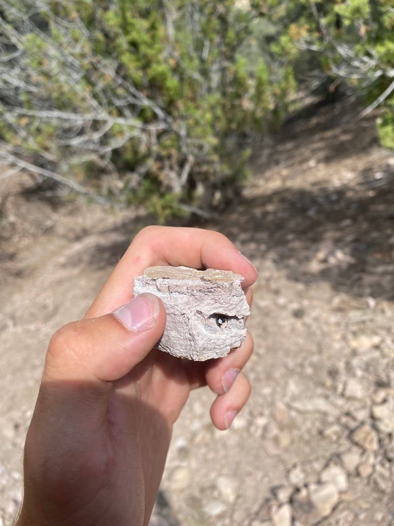 Finders Keepers on Public Land