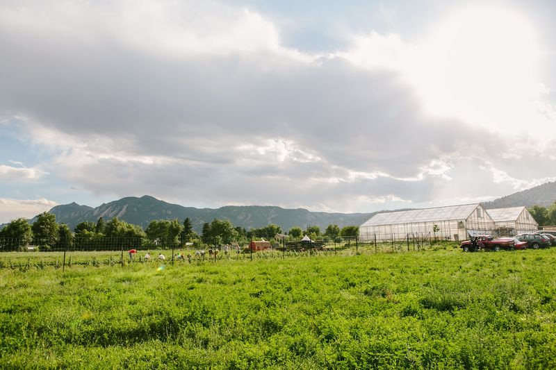 Finding Growing Gardens in Boulder