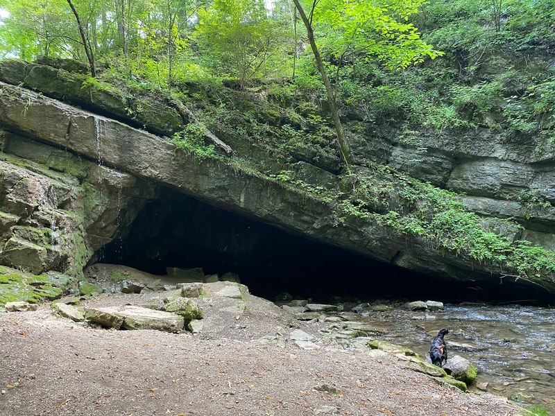 Finding the Hole in Sinking Valley