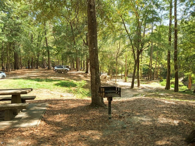 Finding the Park in Mendenhall Finding the Park in Mendenhall