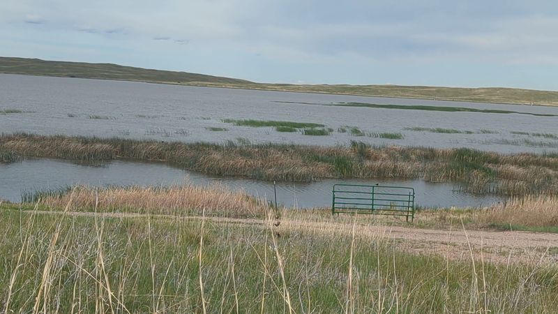 Finding the Refuge at the End of the Gravel
