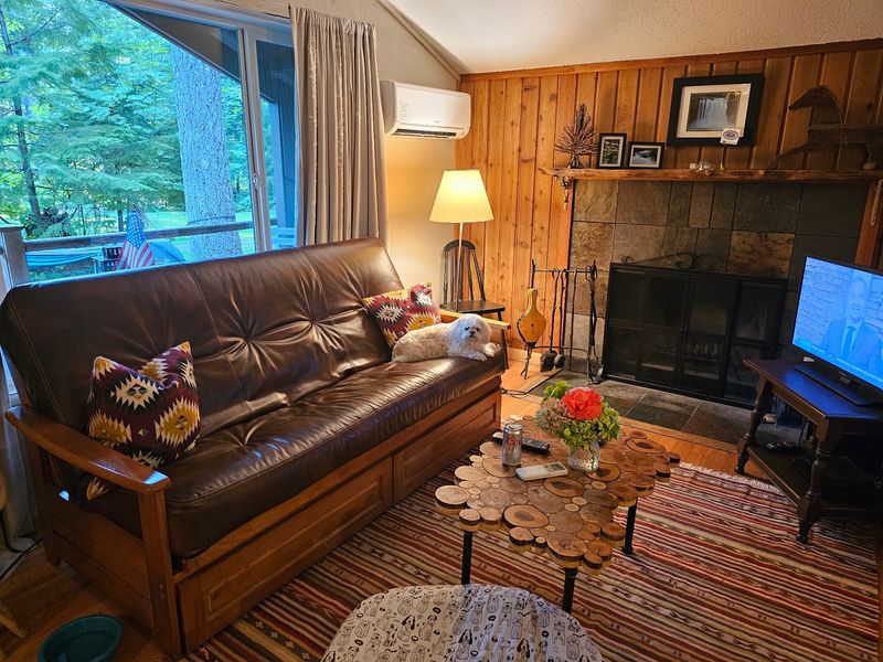 Fireplaces, Full Kitchens, and Forest Decks