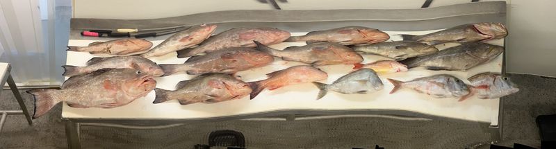 Fishbusterz Seafood Madeira, Madeira Beach, FL Fishbusterz Seafood Madeira, Madeira Beach, FL