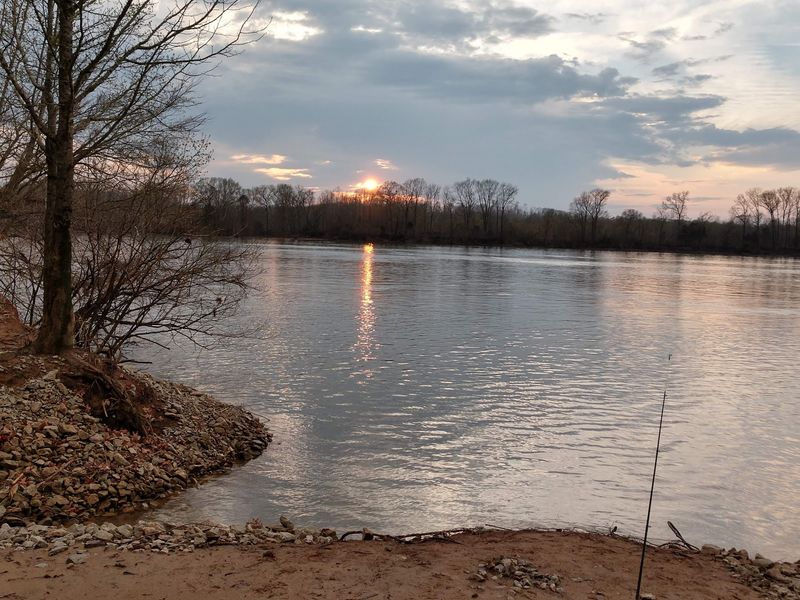 Fishing Docks and Quiet Afternoons