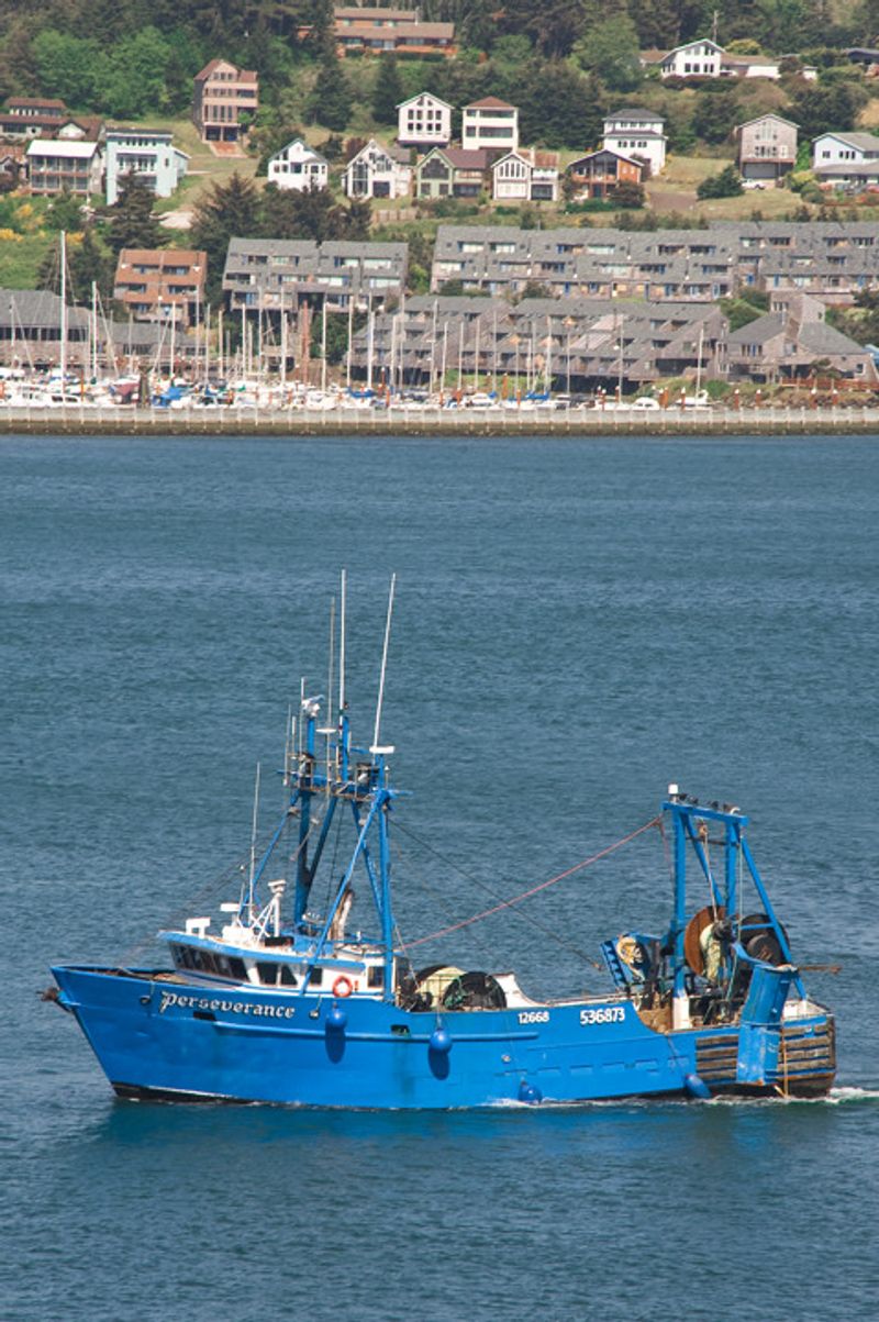 Fishing Fleets and Fish Straight Off the Boat