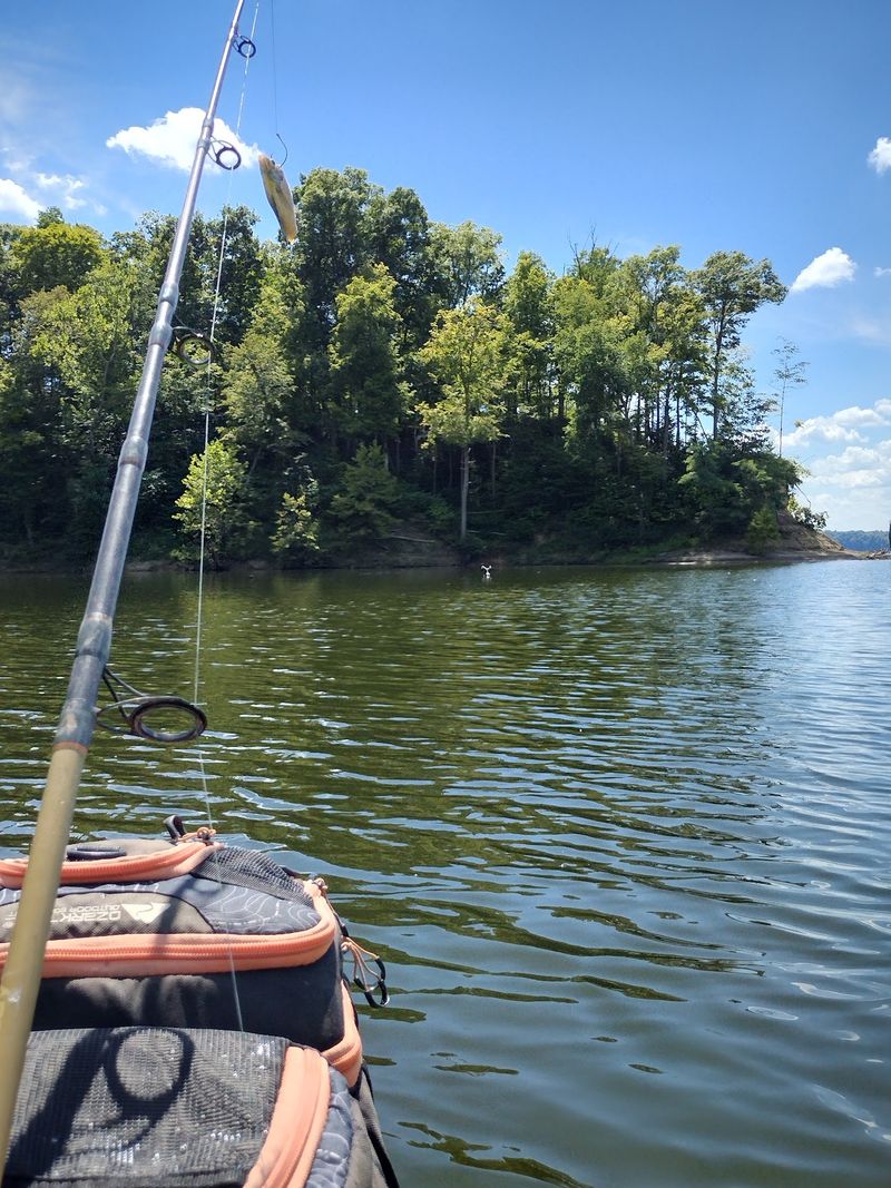 Fishing, Kayaks, and Paddleboards