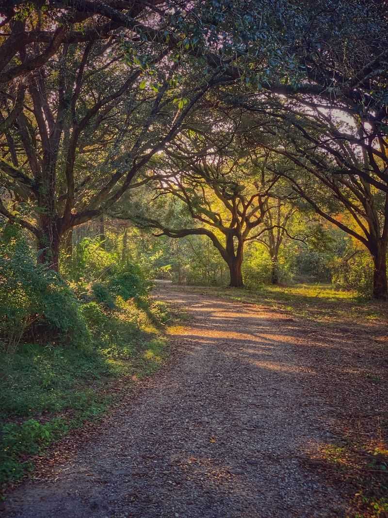 Five Miles Of Paths Waiting For Your Sneakers