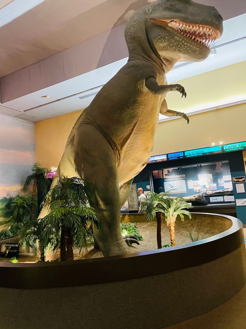 Five Museums, One Ticket, and the Science Next Door