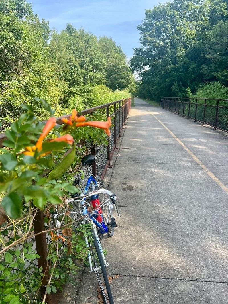 Flat Miles That Barely Ask for Effort Flat Miles That Barely Ask for Effort