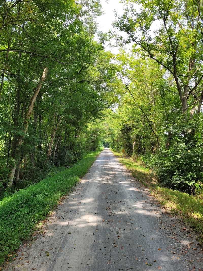 Flat Miles That Spoil Your Legs