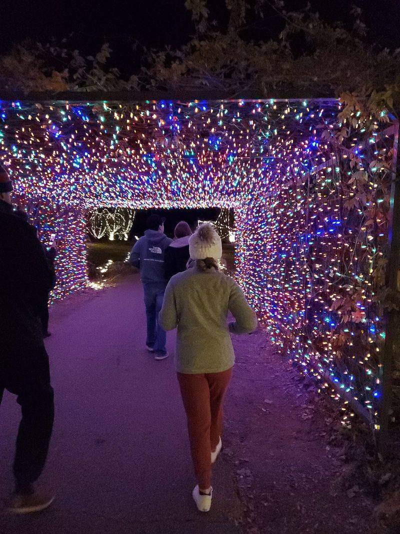 Food Trucks, Chilly Nights, and Cozy Tips