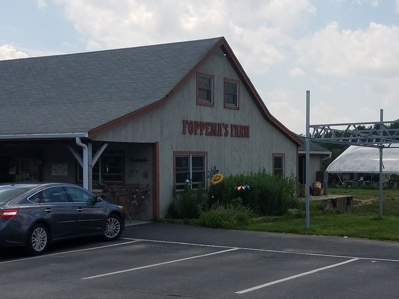 Foppema's Farm, Northbridge, MA