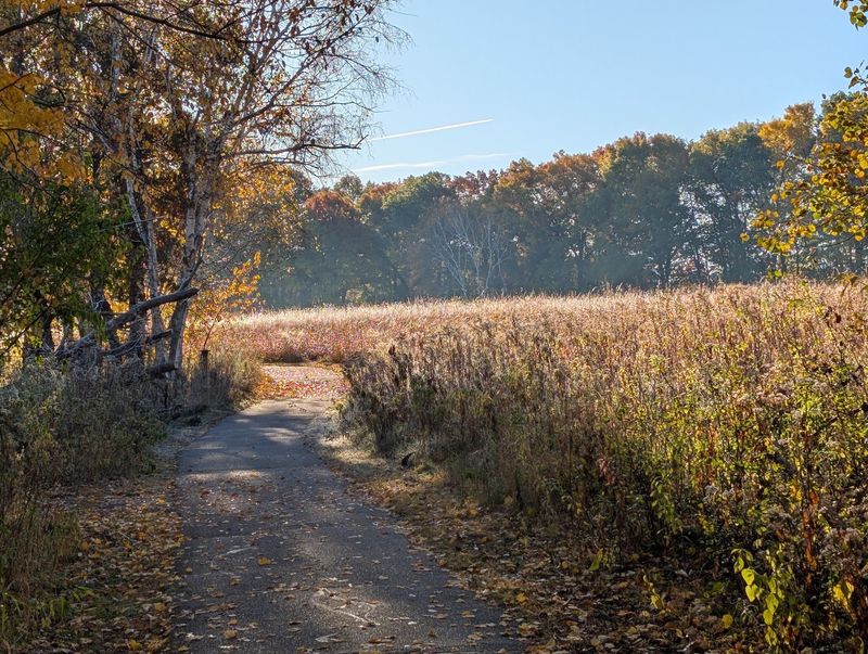 Forest, Prairie, and Tamarack Lake Forest, Prairie, and Tamarack Lake