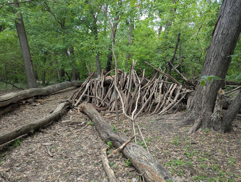 Fort-Building Kids and Family Fun Fort-Building Kids and Family Fun
