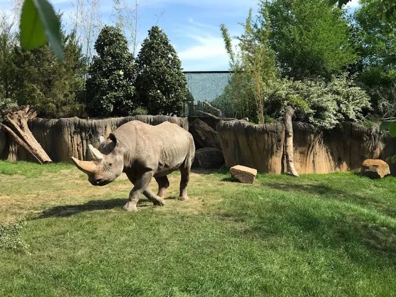 Fort Worth Zoo, Fort Worth, Texas Fort Worth Zoo, Fort Worth, Texas