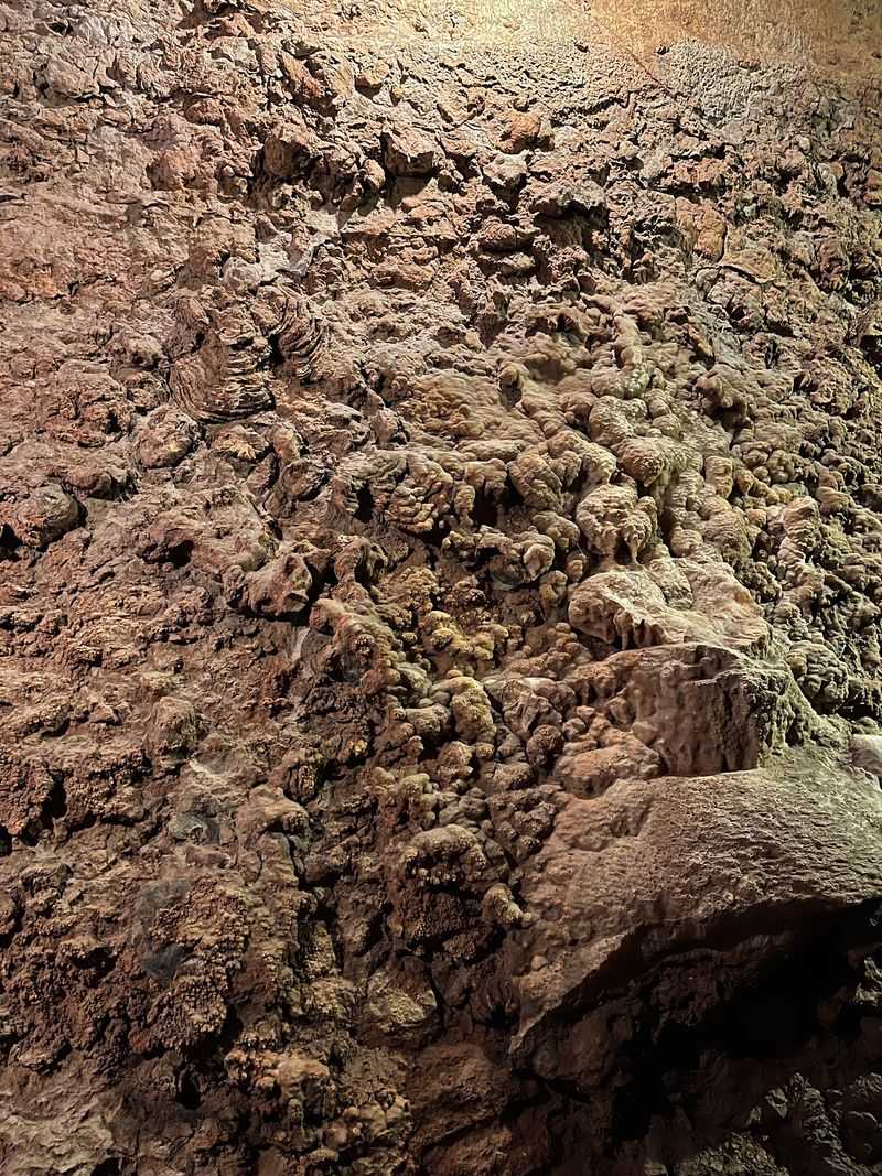 Fossil Walls Tipped on Their Side