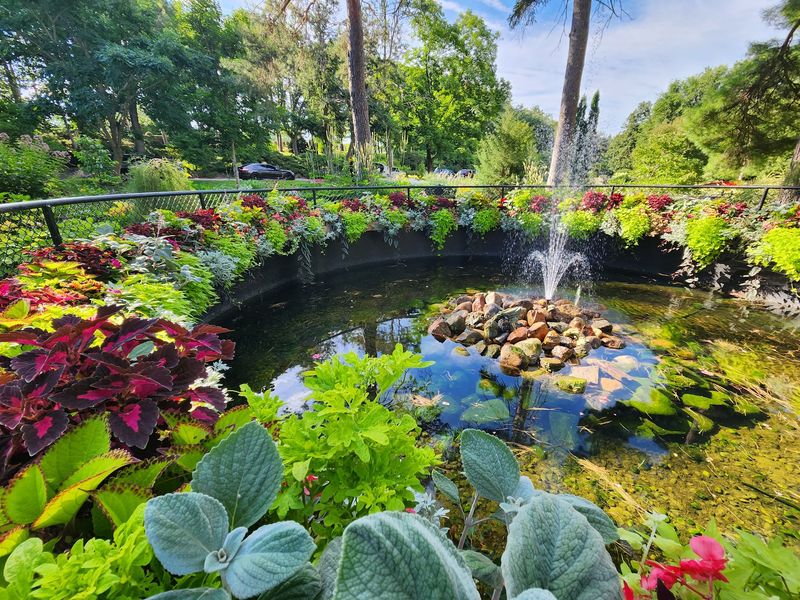 Fountains, Ponds, and a Rock Garden