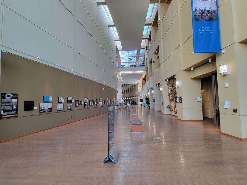 Four Galleries With No Rulebook Four Galleries With No Rulebook