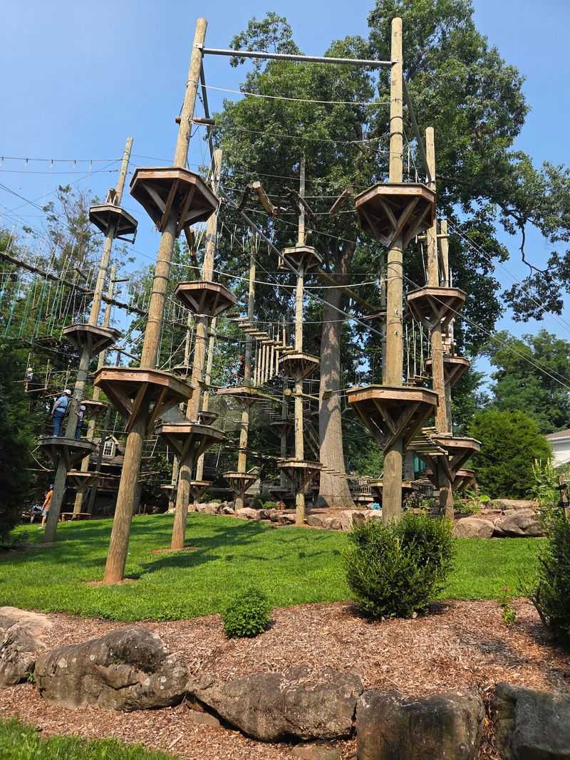 Four Levels of Swinging, Swaying Fun