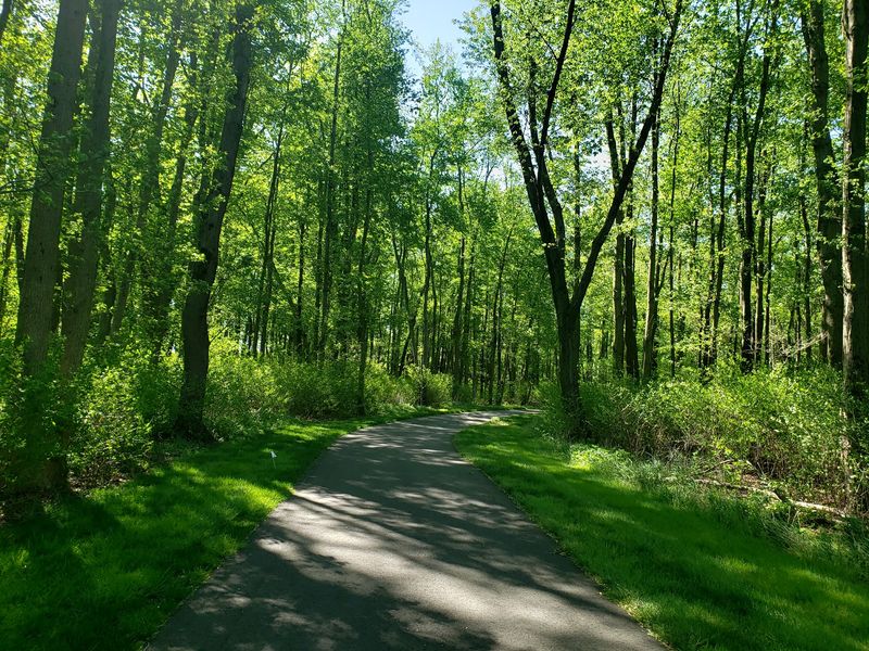 Four Miles Without a Complicated Route Four Miles Without a Complicated Route