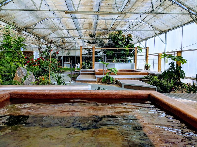 Four Pools, Four Temperatures Four Pools, Four Temperatures