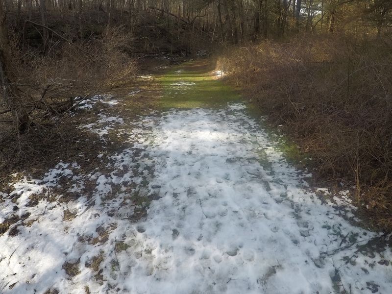 Four Seasons, Four Different Trails Four Seasons, Four Different Trails