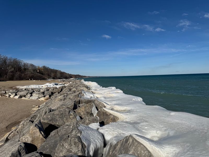 Four Seasons on the Shore