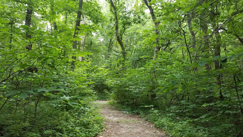 Four Trails, Four Moods Four Trails, Four Moods