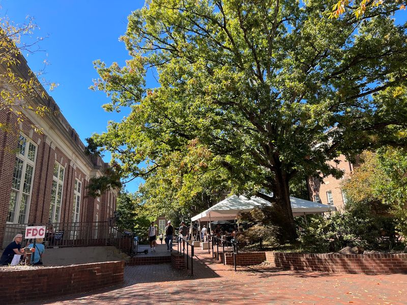 Franklin Street and a Friendly Atmosphere