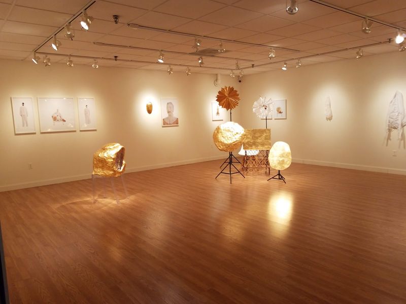 Free Galleries With Rotating Shows