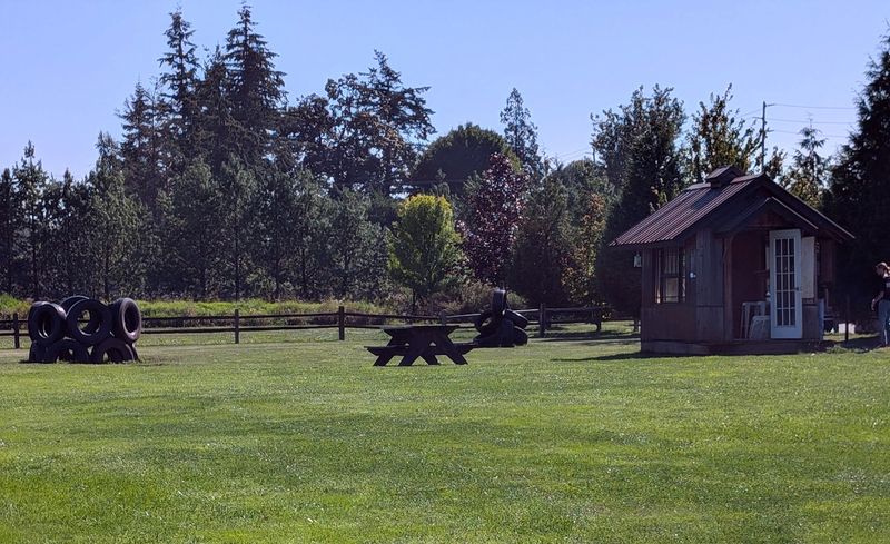 Free Tire Play Area and Fall Field Games