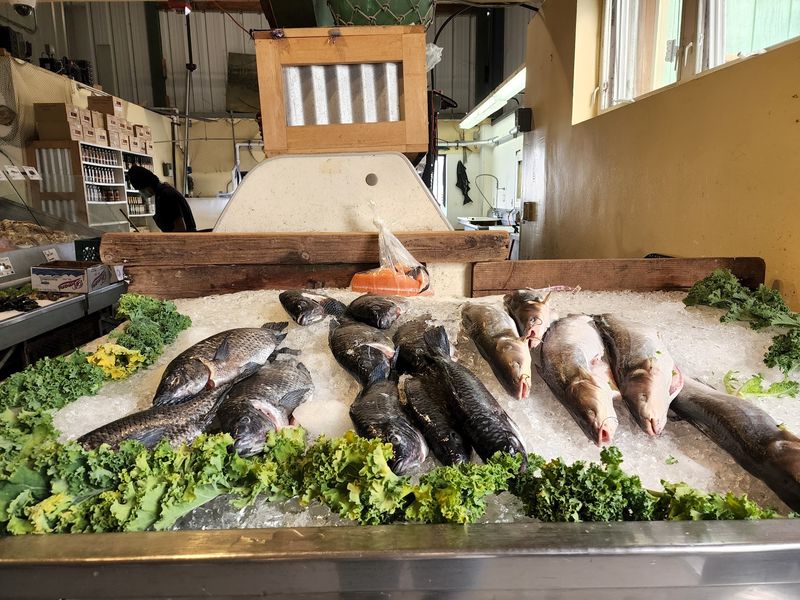 Fresh Catch at the Market Counter Fresh Catch at the Market Counter