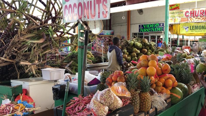 Fresh Fruit, Coconut Water, and the Farmers Market