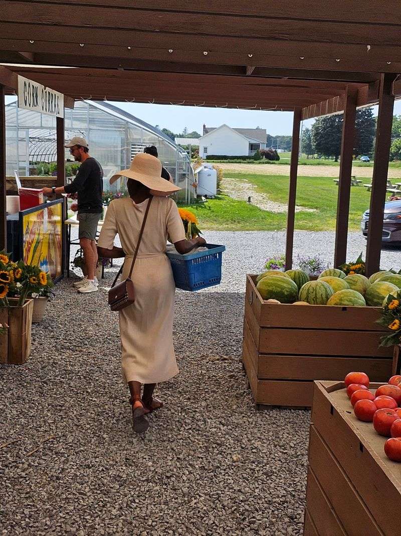 Fresh Vegetables Grown Right on the Property