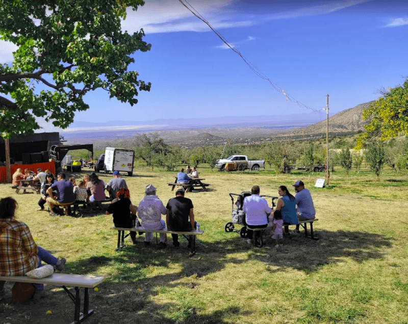 Friendly Faces and Picnic Tables