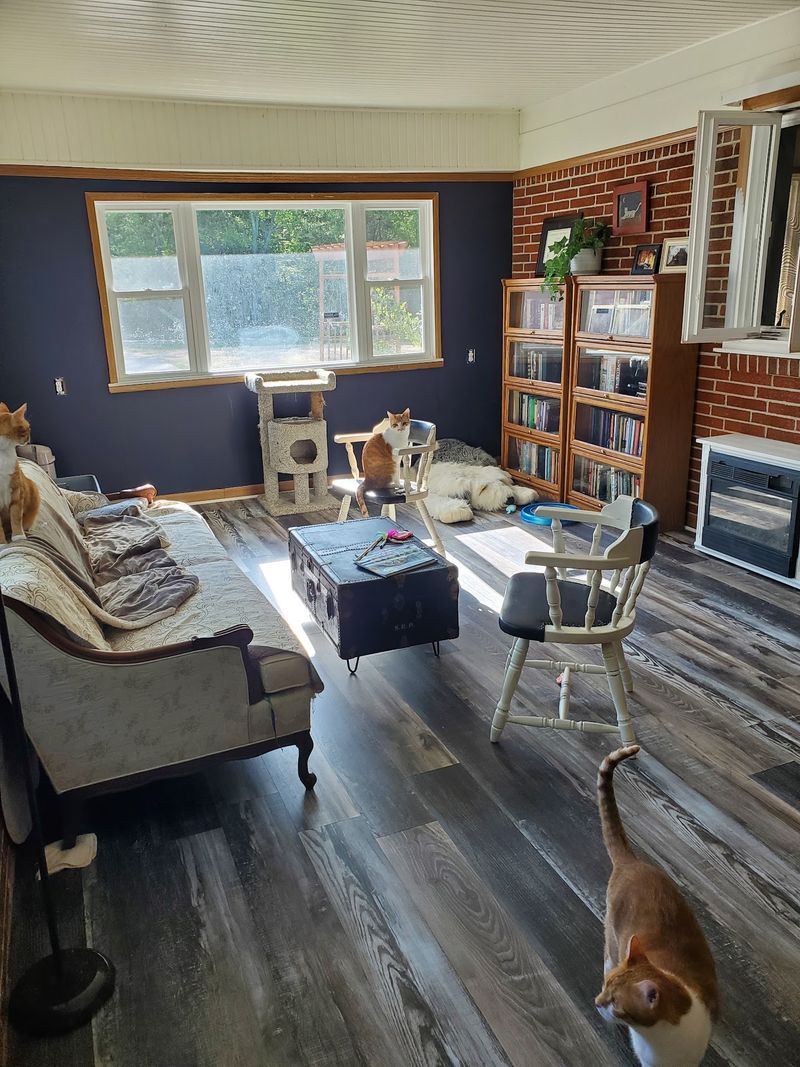 From Antique Shoppe to Sanctuary