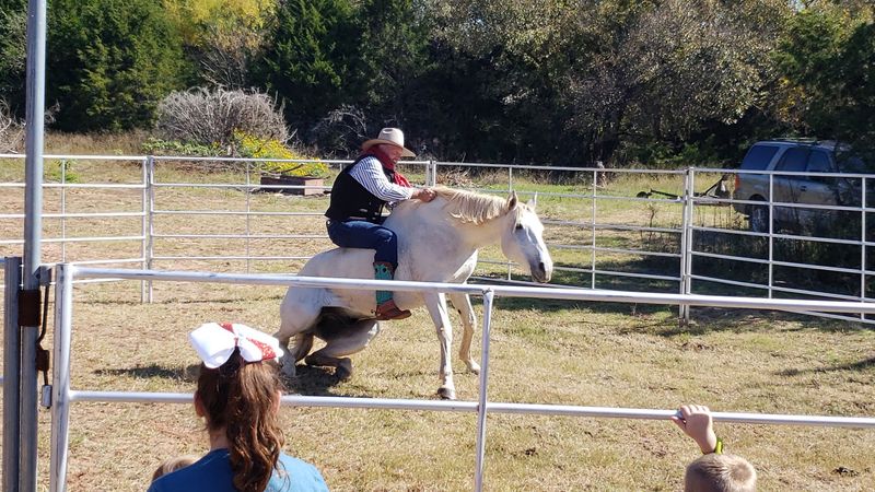 Fun for Grandkids, Grandparents, and Everyone Between
