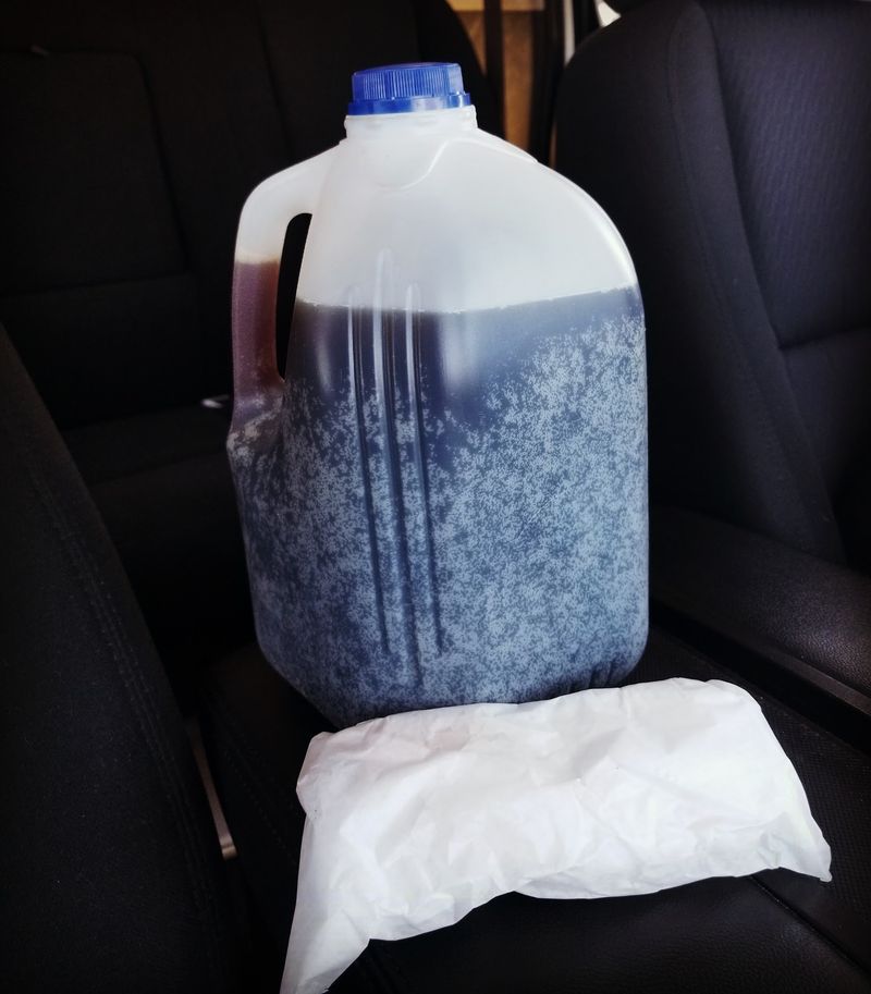 Gallon Jugs for the Ride Home Gallon Jugs for the Ride Home
