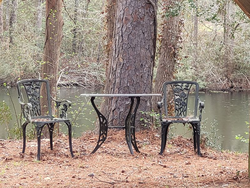 Garden Beds, Pine Trees, and Quiet Water Garden Beds, Pine Trees, and Quiet Water