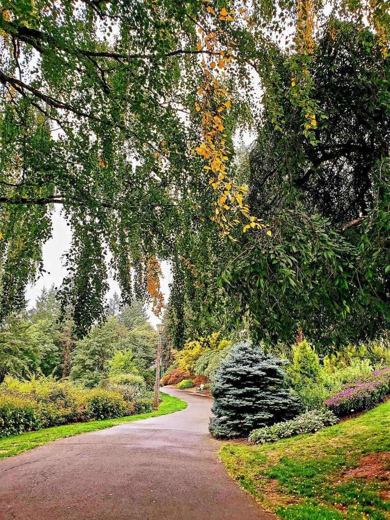 Gardens Worth a Slow Wander