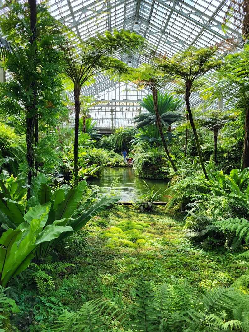 Garfield Park Conservatory, Chicago, Illinois