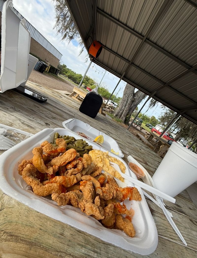 Gator Bites That Turn Skeptics Into Fans