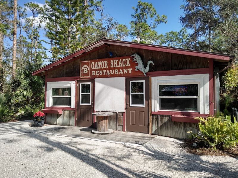 Gator Bites and Burgers at the Gator Shack Gator Bites and Burgers at the Gator Shack