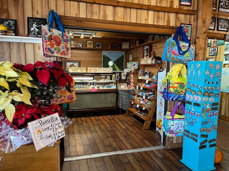 Gator Sauce, Orange Hand Cream, And A Gift Shop Full Of Surprises