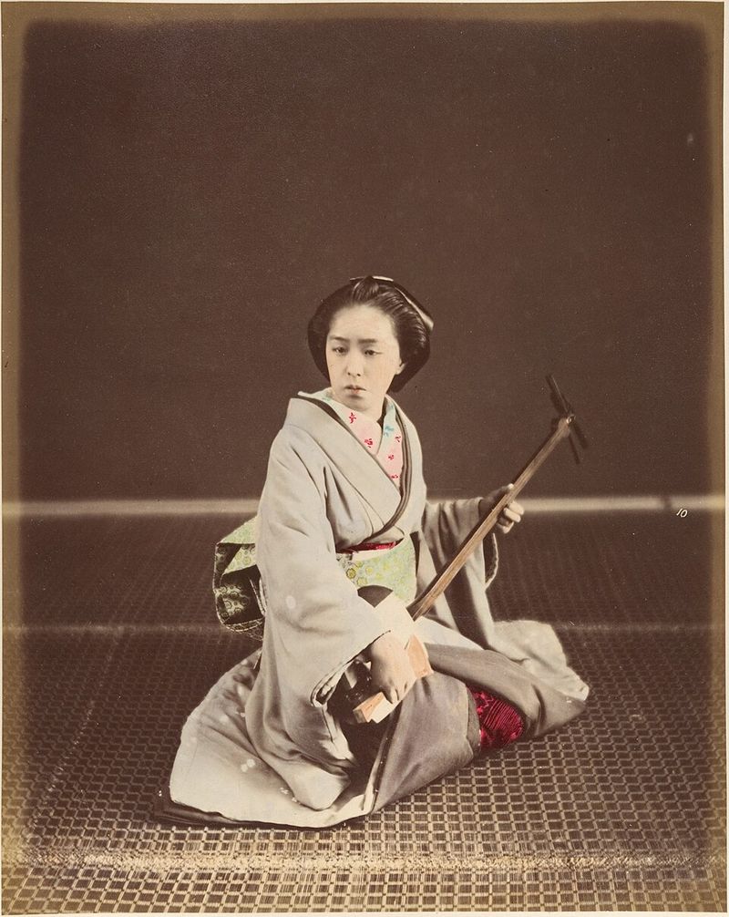 Geisha and Courtesans Were Not the Same